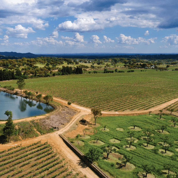 Quinta da Fonte Souto